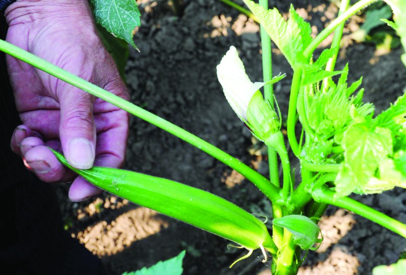 金马科技 智能客控 金马科技 智能客控